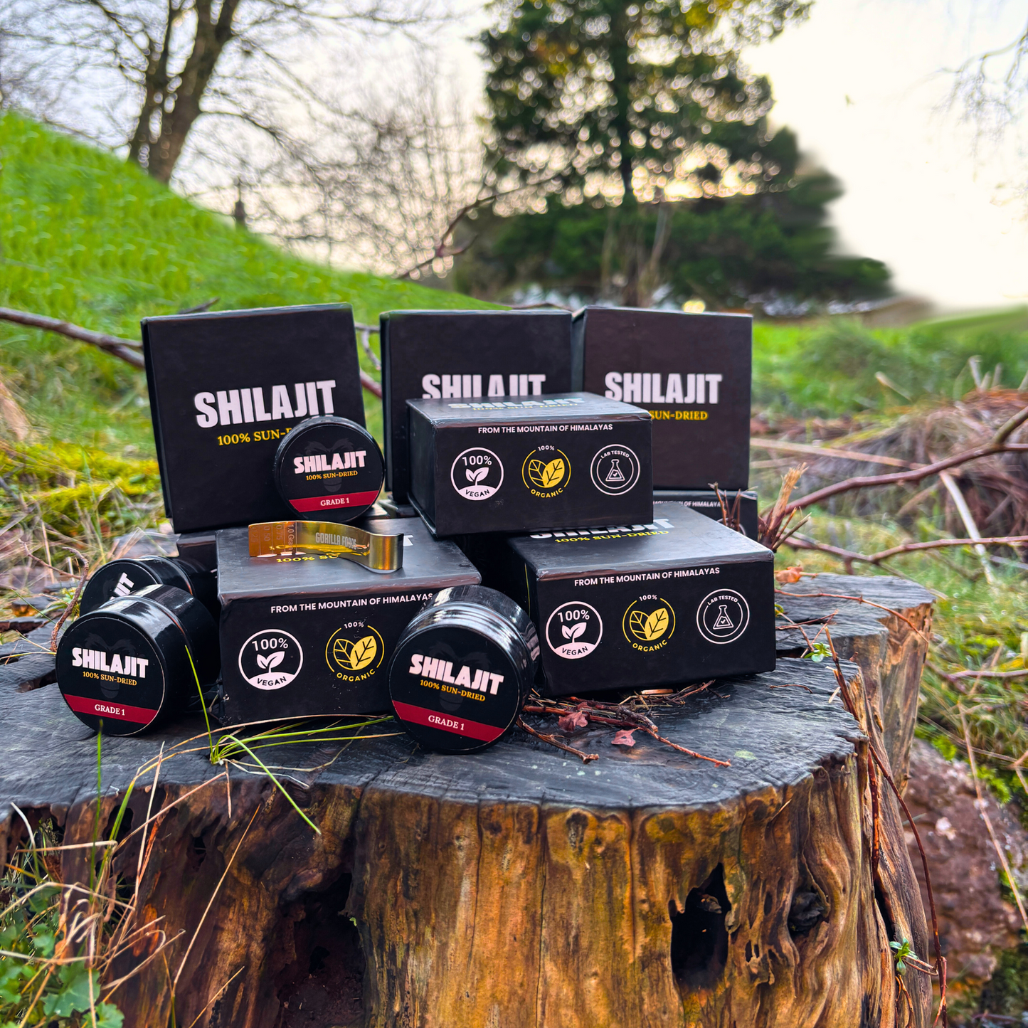 GRADE 1 SHILAJIT